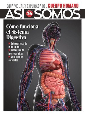 Cover image for Así Somos - El cuerpo humano: Fasciculo 10 - 2021
